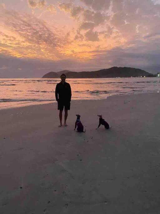 Novo-Refugio Do Arquiteto - Casa Coqueiro, 4 Minutos Caminhando Ate A Praia ساو سيباستياو المظهر الخارجي الصورة